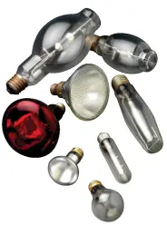 Shatter Resistant Bulbs