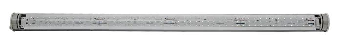 WGP74LED