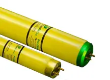 Gold Semiconductor Web Lamps